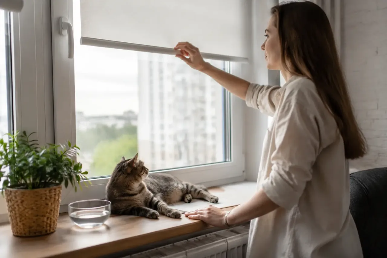 Кошка отдыхает у защищённого окна, пока владелец опускает штору от солнца