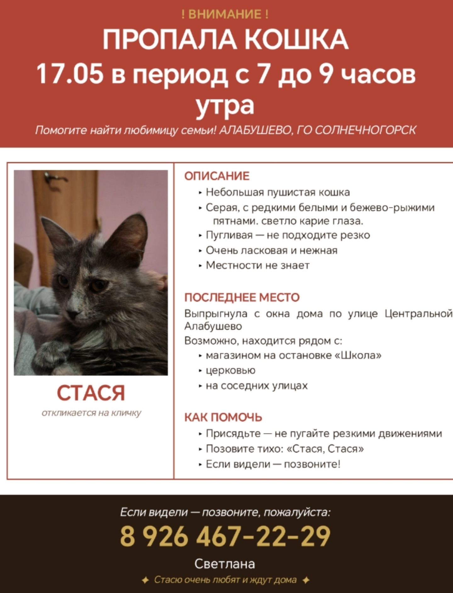 Найдена кошка в Зеленограде — фото объявления