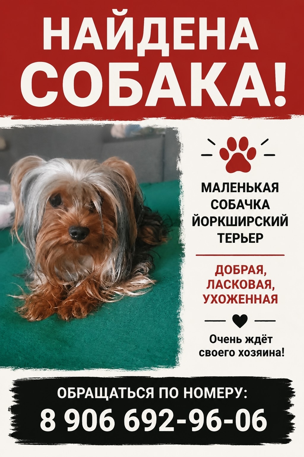 Найдена собака в Курске — фото объявления