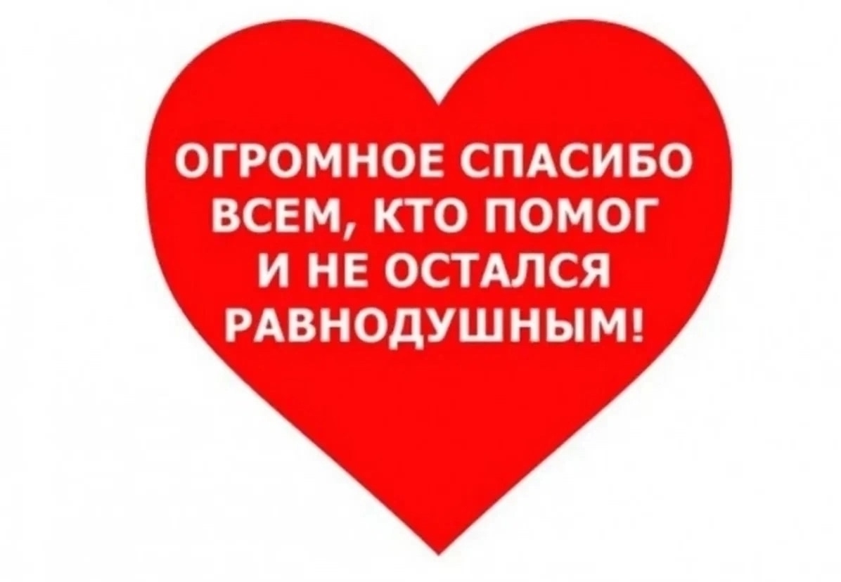 Найдена собака в Брянске — фото объявления