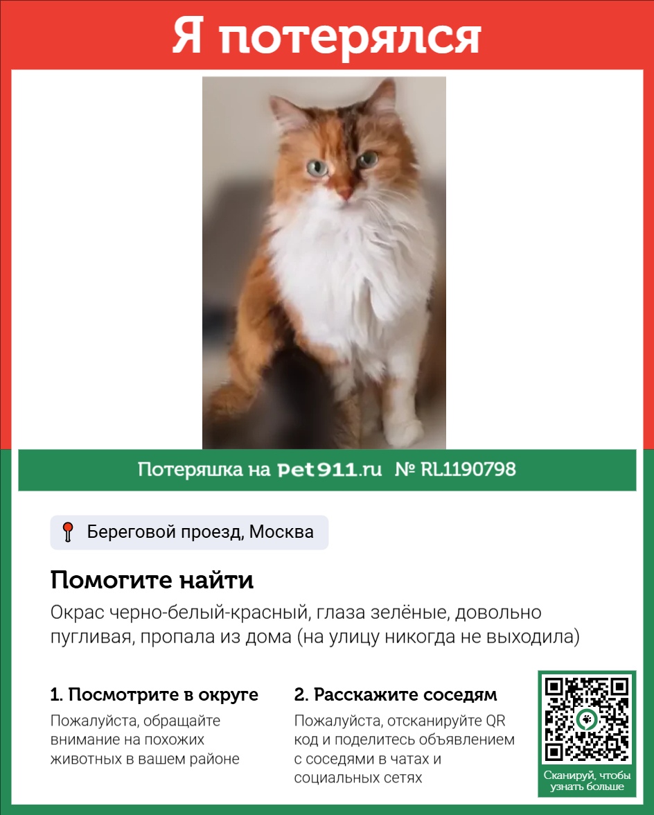 Найдена кошка в Ивантеевке — фото объявления