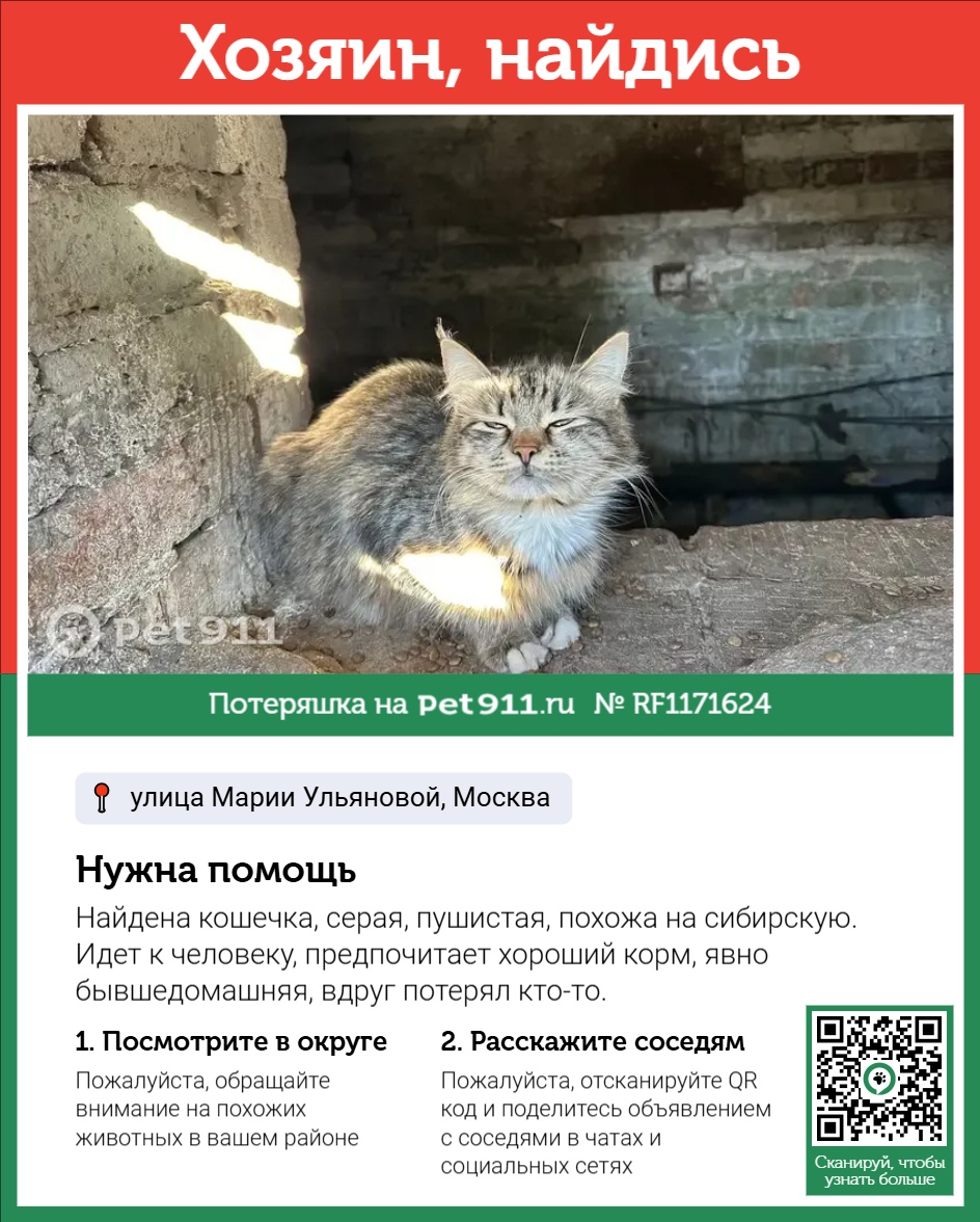 Найдена кошка в Москве — фото объявления