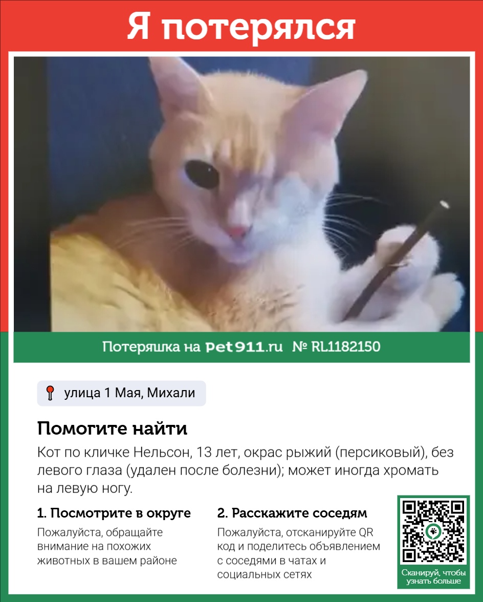 Найдена кошка в Октябрьском — фото объявления