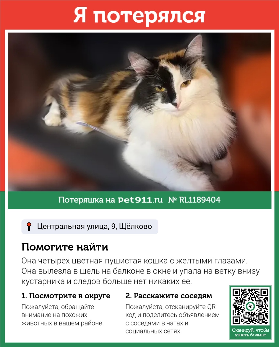 Найдена кошка в Октябрьском — фото объявления