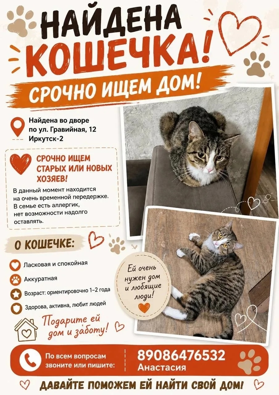 Объявление о питомце в Иркутске — фото объявления