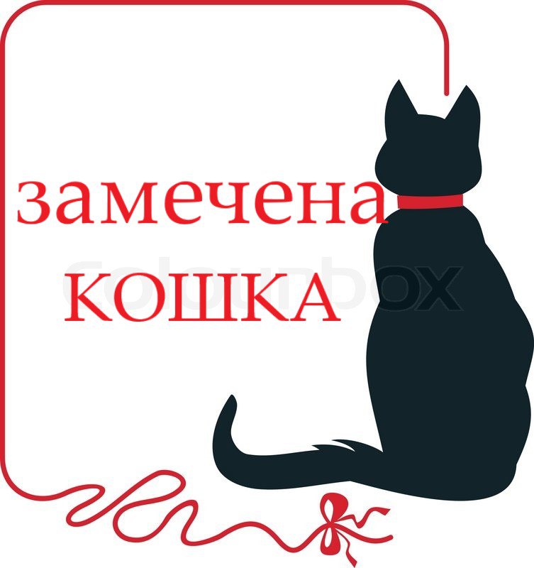 Найдена кошка в Калуге — фото объявления