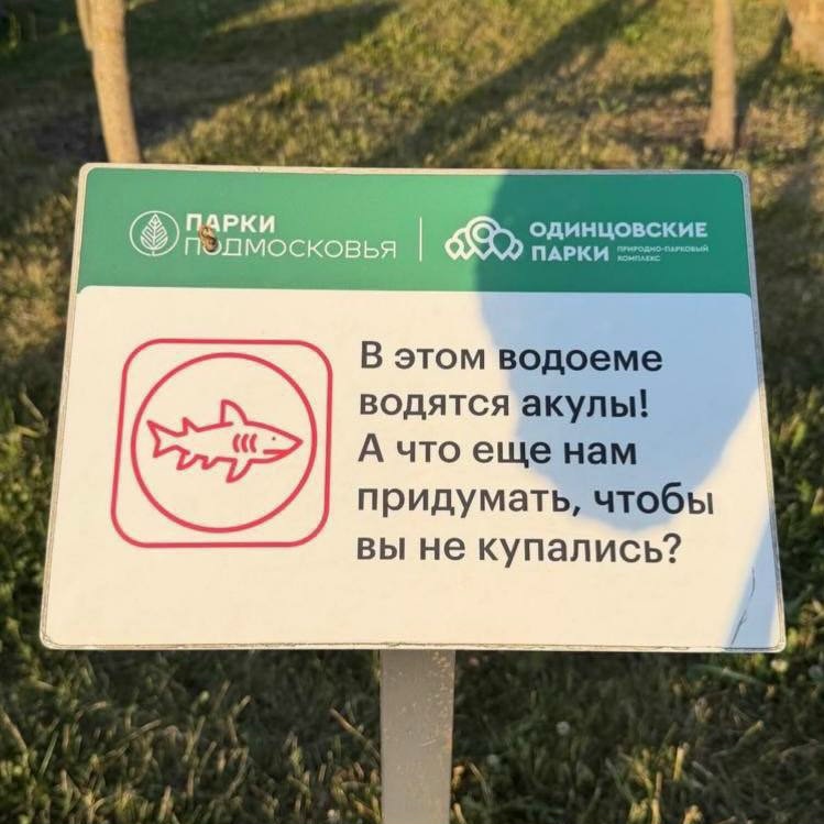 Найдена собака в Одинцове — фото объявления