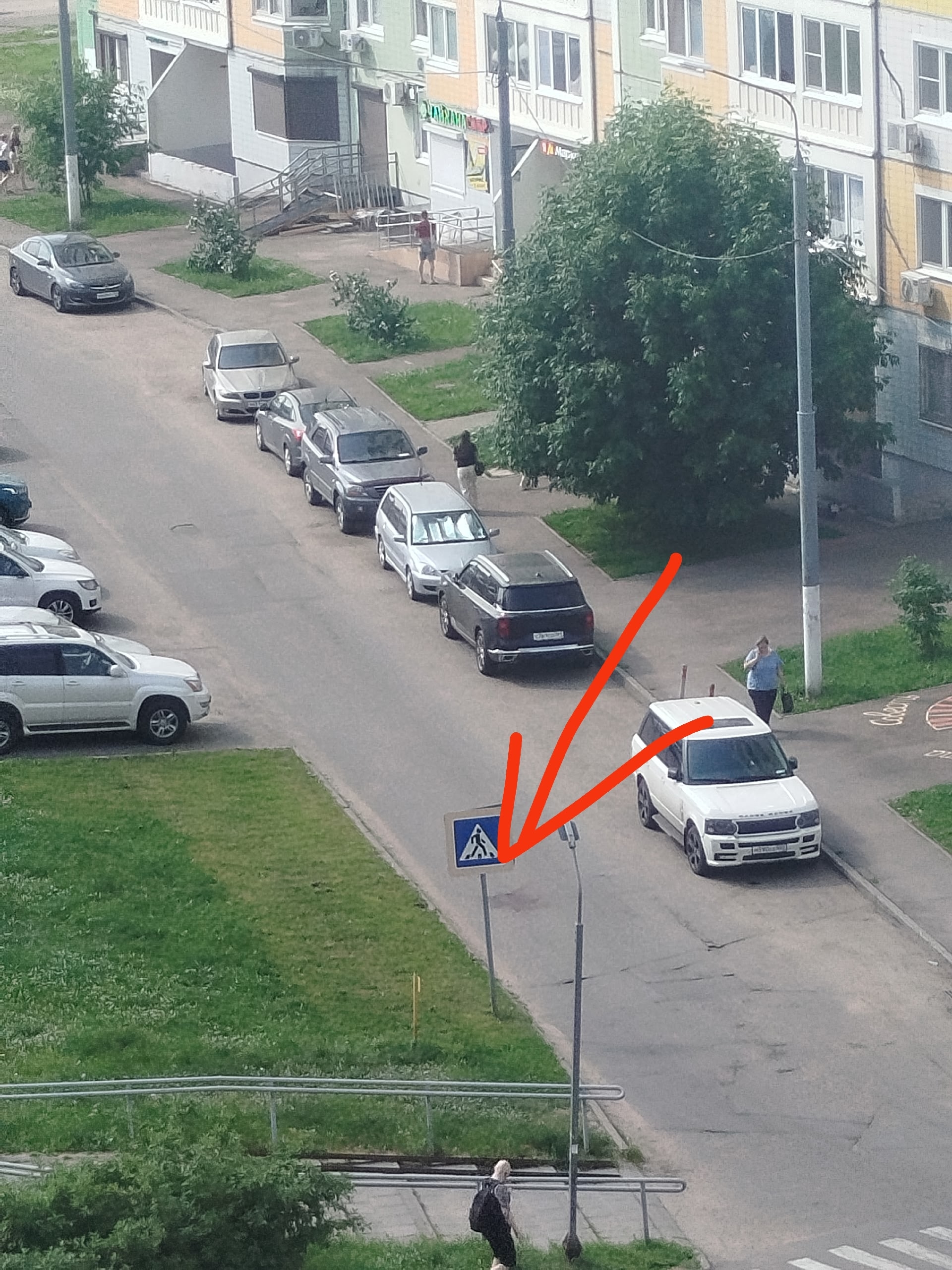 Найдена собака в Долгопрудном — фото объявления