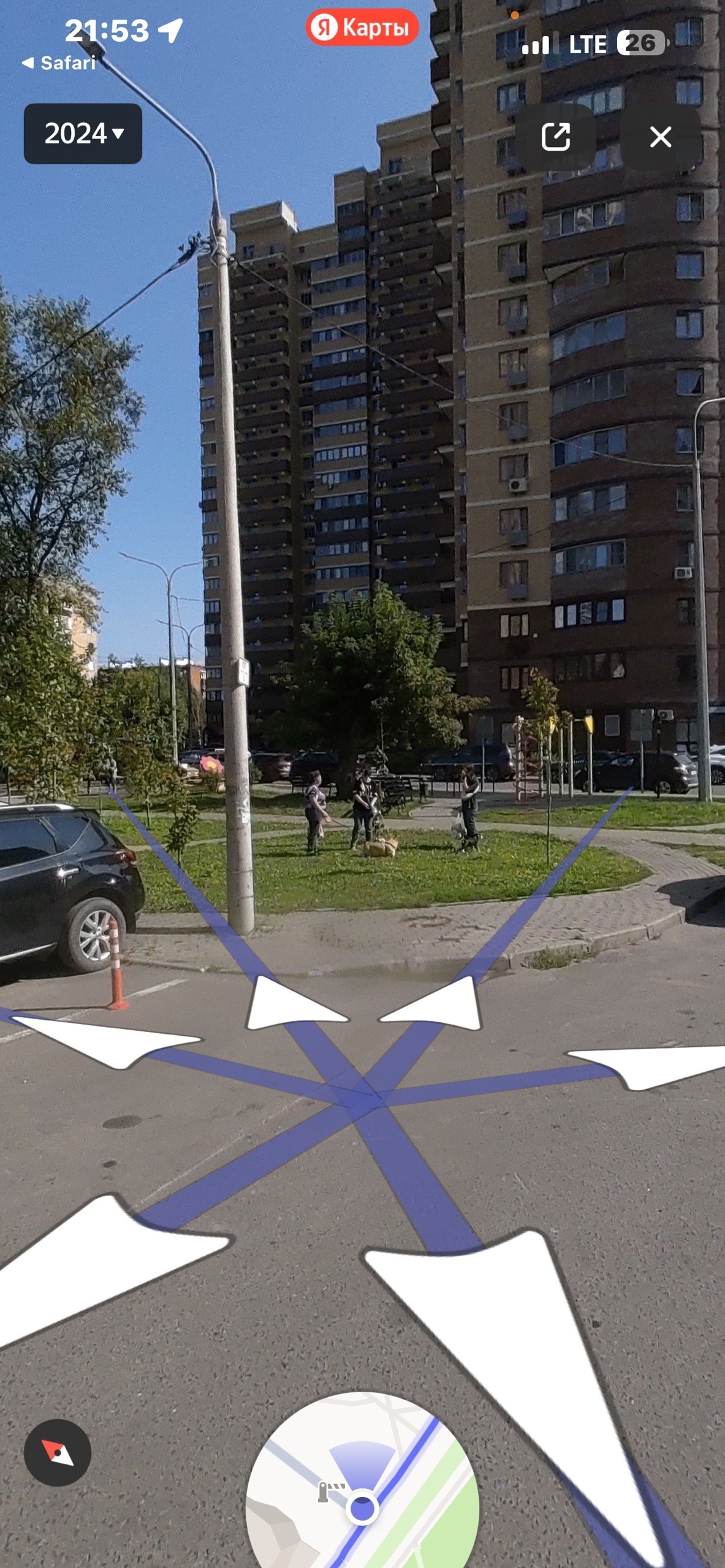 Объявление о питомце в Долгопрудном — фото объявления