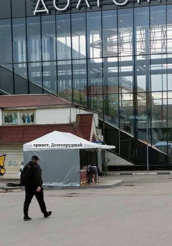 Объявление о питомце в Долгопрудном — фото объявления