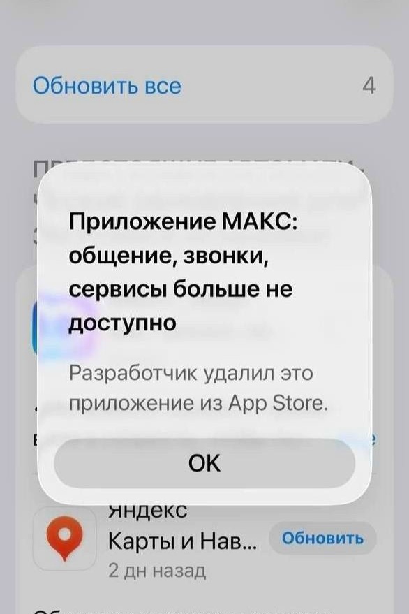 Объявление о питомце в Жуковском — фото объявления
