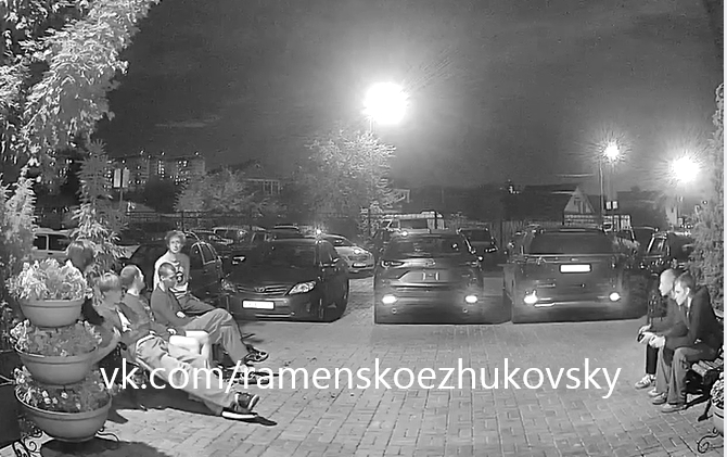 Объявление о питомце в Жуковском — фото объявления
