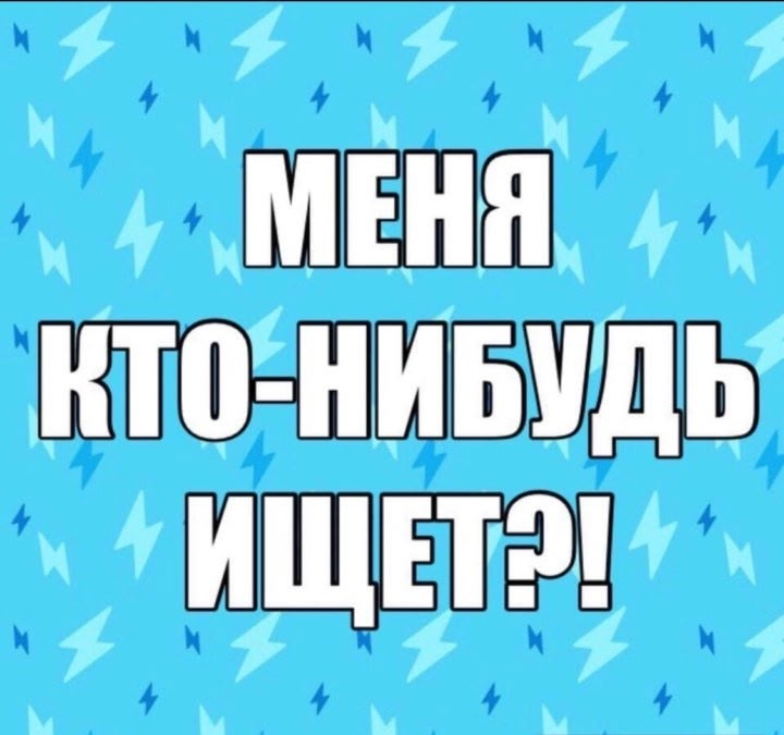 Найдена собака в Обнинске — фото объявления