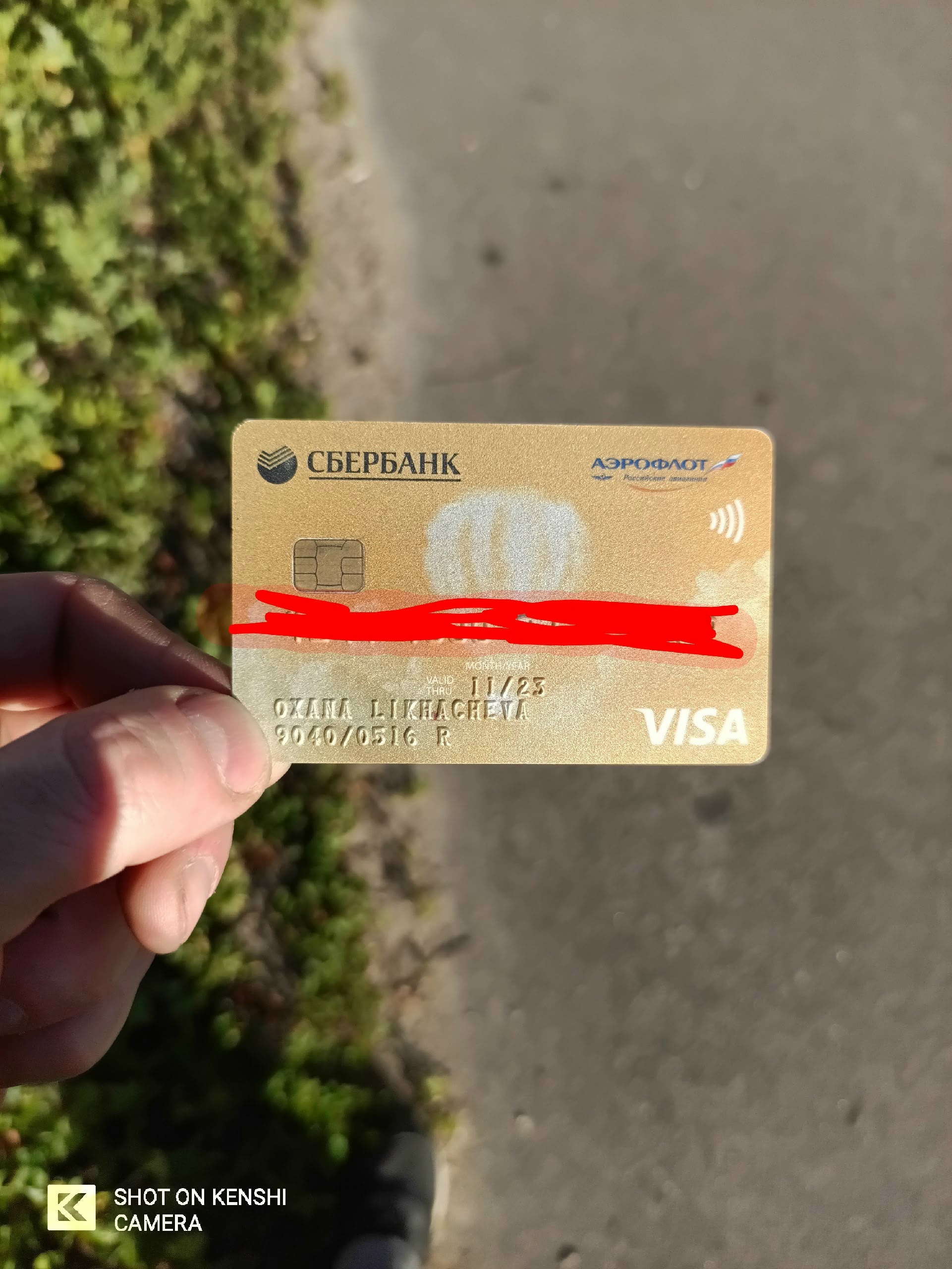 Объявление о питомце в Егорьевске — фото объявления