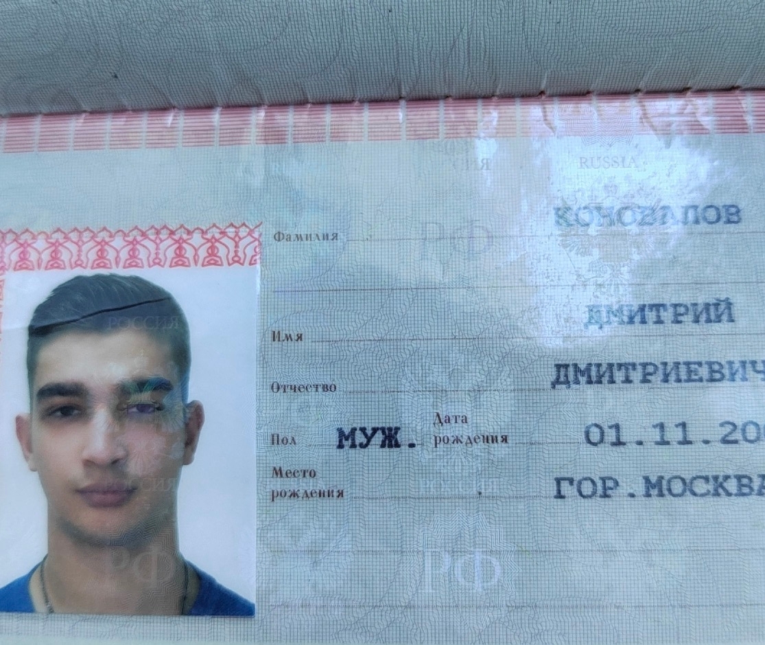 Объявление о питомце в Солнечногорске — фото объявления
