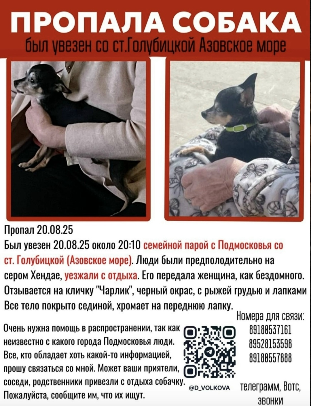 Пропала собака в Красногорске — фото объявления
