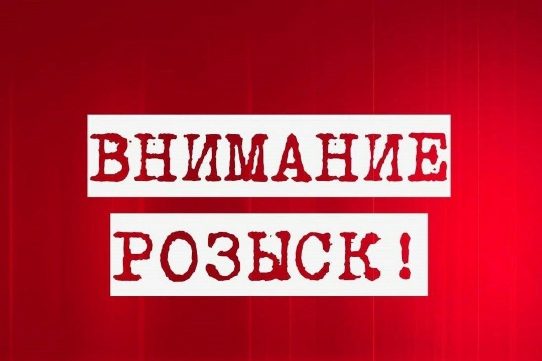 Пропала собака в Йошкар-Оле — фото объявления